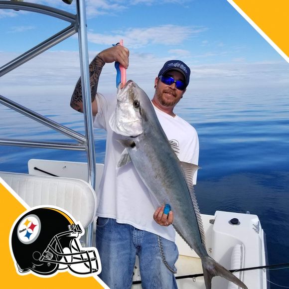 Meet your Posher, Kevin - Picture 1 of 1